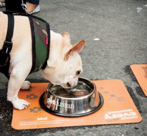 article image - 